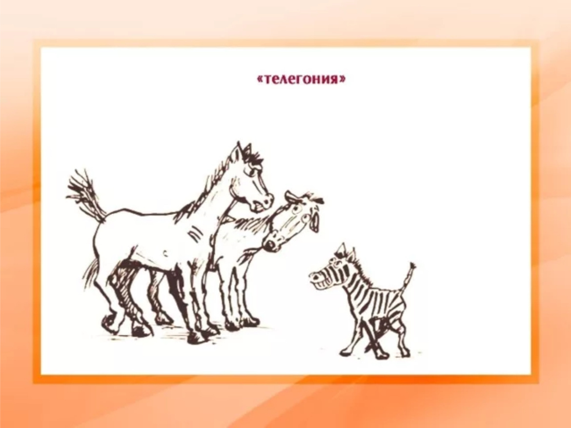 К сожалению, выдаёт запрос на телегонию только про зебр))