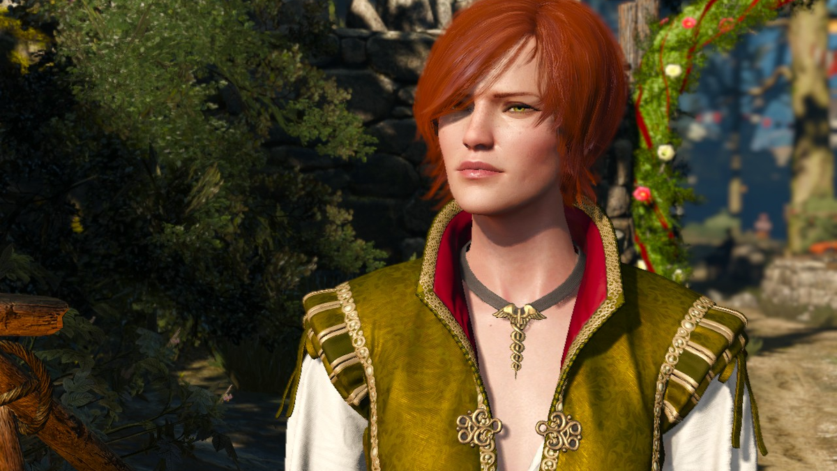 СМИ: в финальном сезоне «Ведьмака» появится Шани