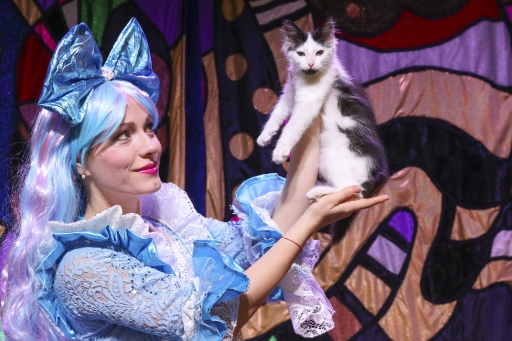 фото из открытых источников интернет