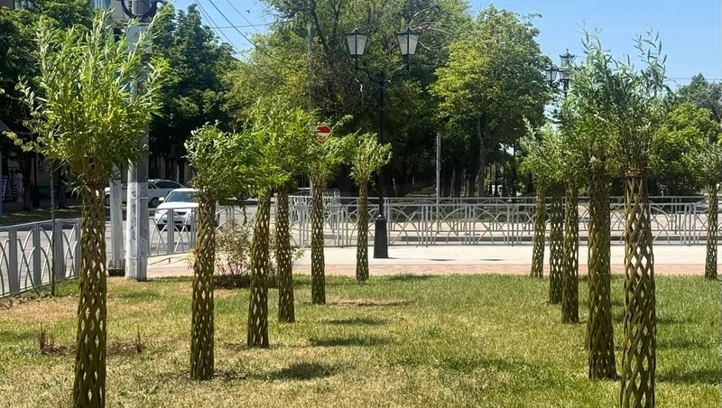      Фото: Социальные сети главы Невинномысска