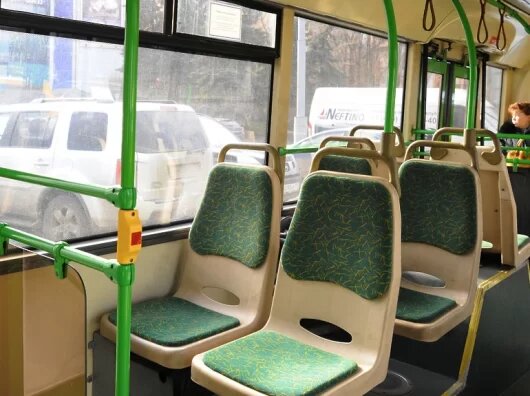    //Фото: reutovriamo.ru