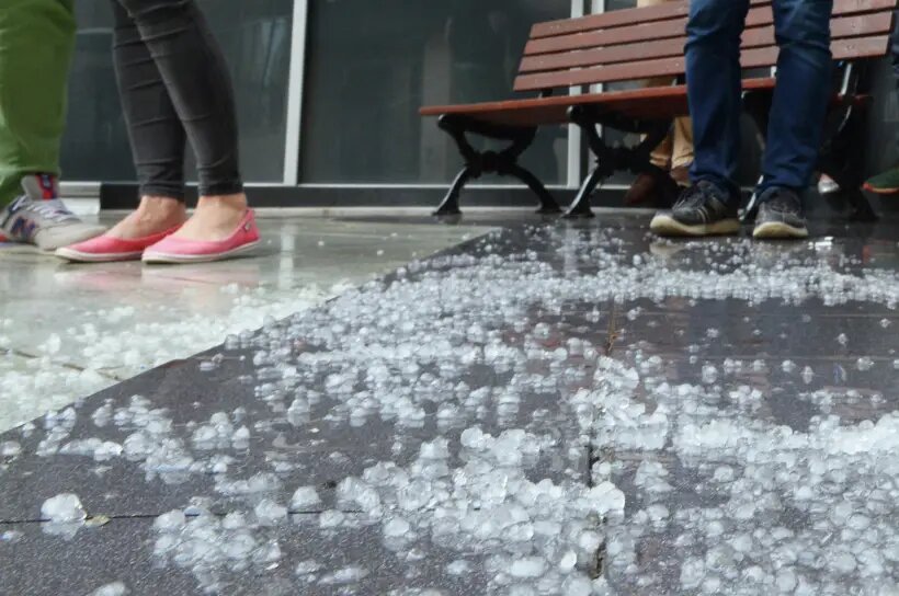     © РИА Новости. Владимир Трефилов