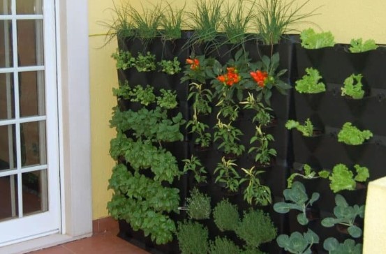 17 полезных советов для дачи и огорода