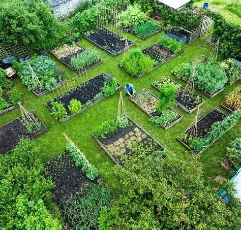 Разметка грядок