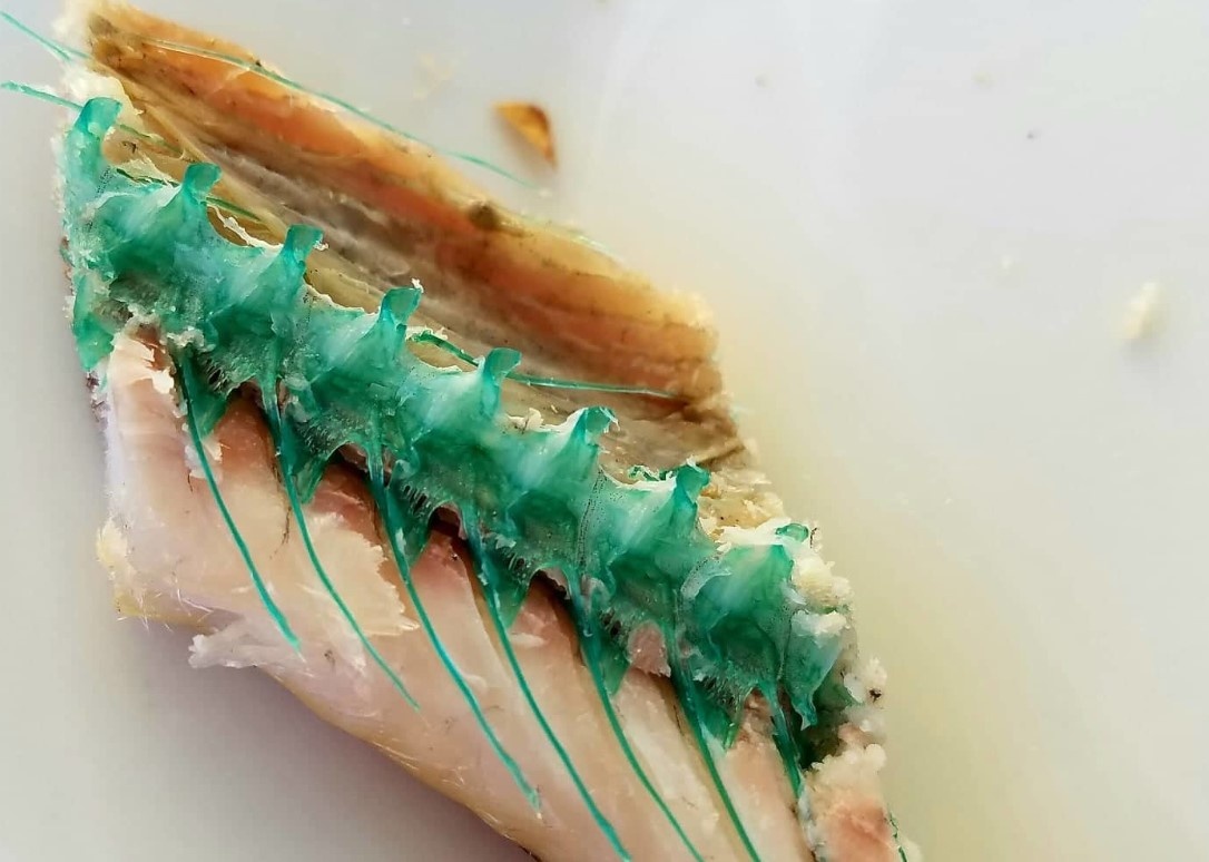 фото из открытых источников интернета