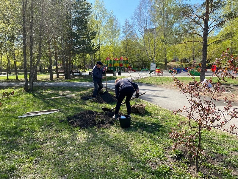    Фото из архива администрации г.Искитима