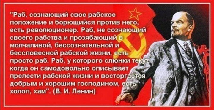 Фото из открытого доступа 