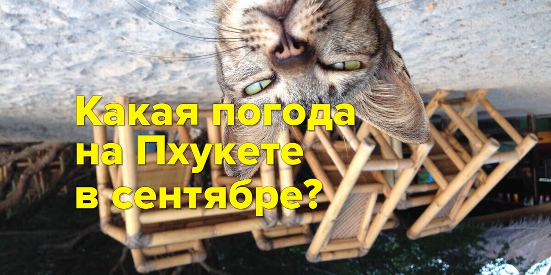 Сентябрь на Пхукете: сезон перемен и культурных открытий