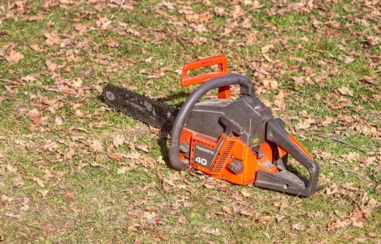    Фото: pixabay.com Александра Горохова