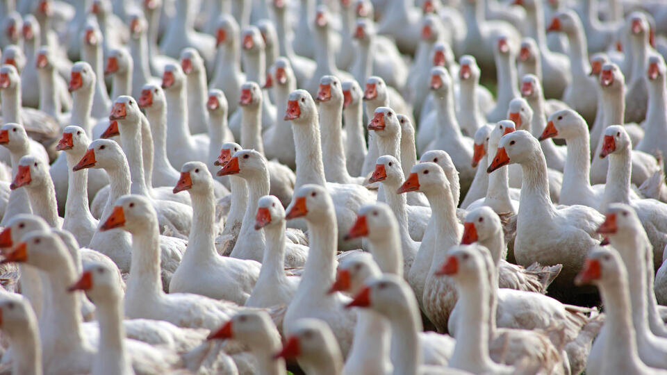 Фото: © Matthias Bein/dpa/picture-alliance/TASS 