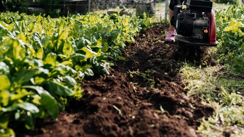      Фото: @freepik / freepik.com