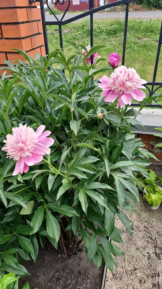 Все фото автора