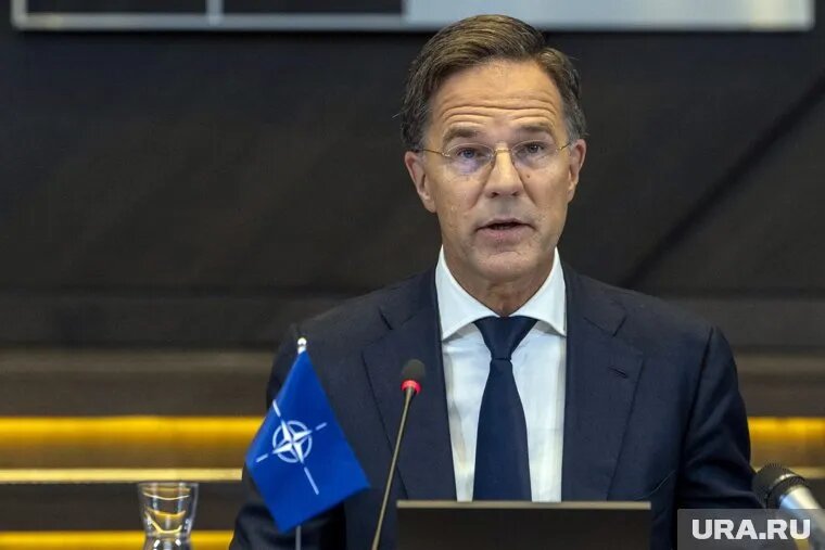 Трамп обсудит с Рютте вопрос финансирования военной помощи Украине. Фото: NIDS/NATO Multimedia Library