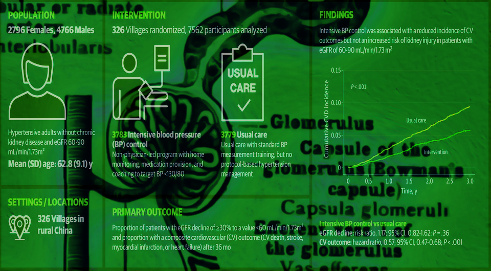   N + 1; An atlas of human anatomy for students and physicians by Toldt, Carl / New York, Rebman Company, 1919 / Columbia University Libraries / Internet Archive Book Images / Public domain; Guozhe Sun et al. / JAMA Network Open, 2025