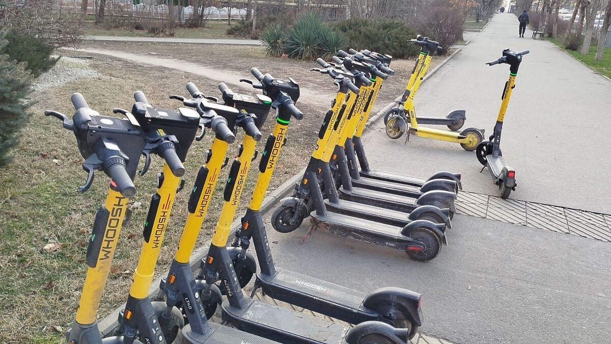    Фото: телеканал «Краснодар»