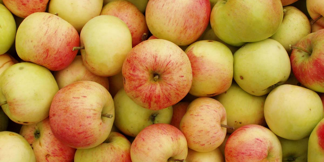 Правильно мама говорила (3)