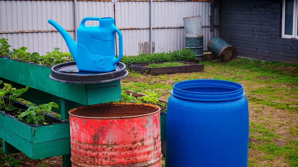 Так выглядела моя подкормка раньше - сплошные мучения