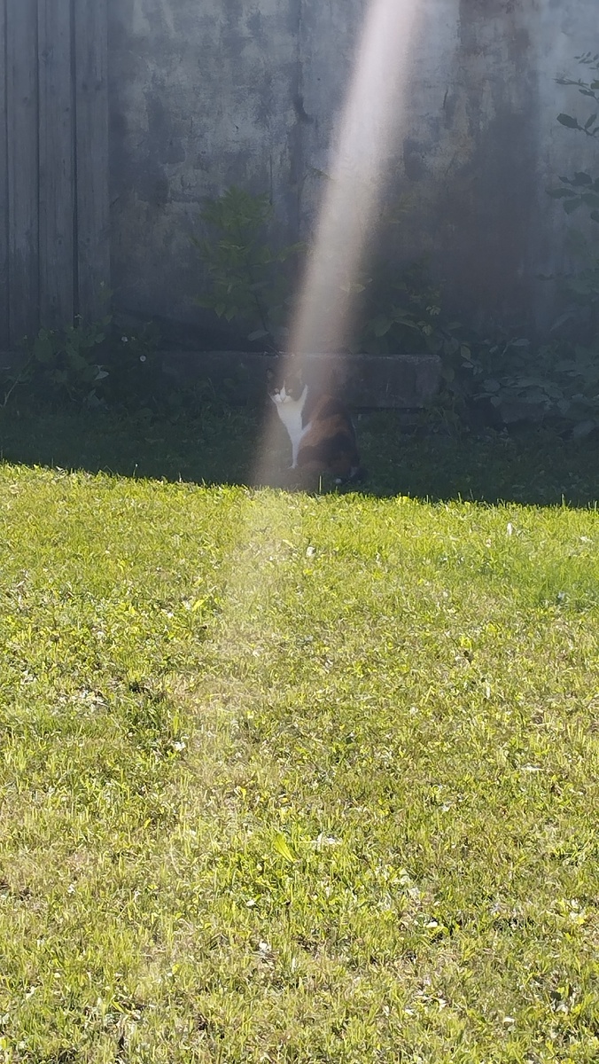 Сфоткала сегодня