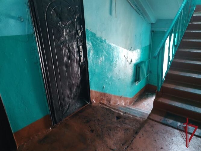    Фото: Пресс-служба Управления Росгвардии по Забайкальскому краю   📷   Фото: Пресс-служба Управления Росгвардии по Забайкальскому краю