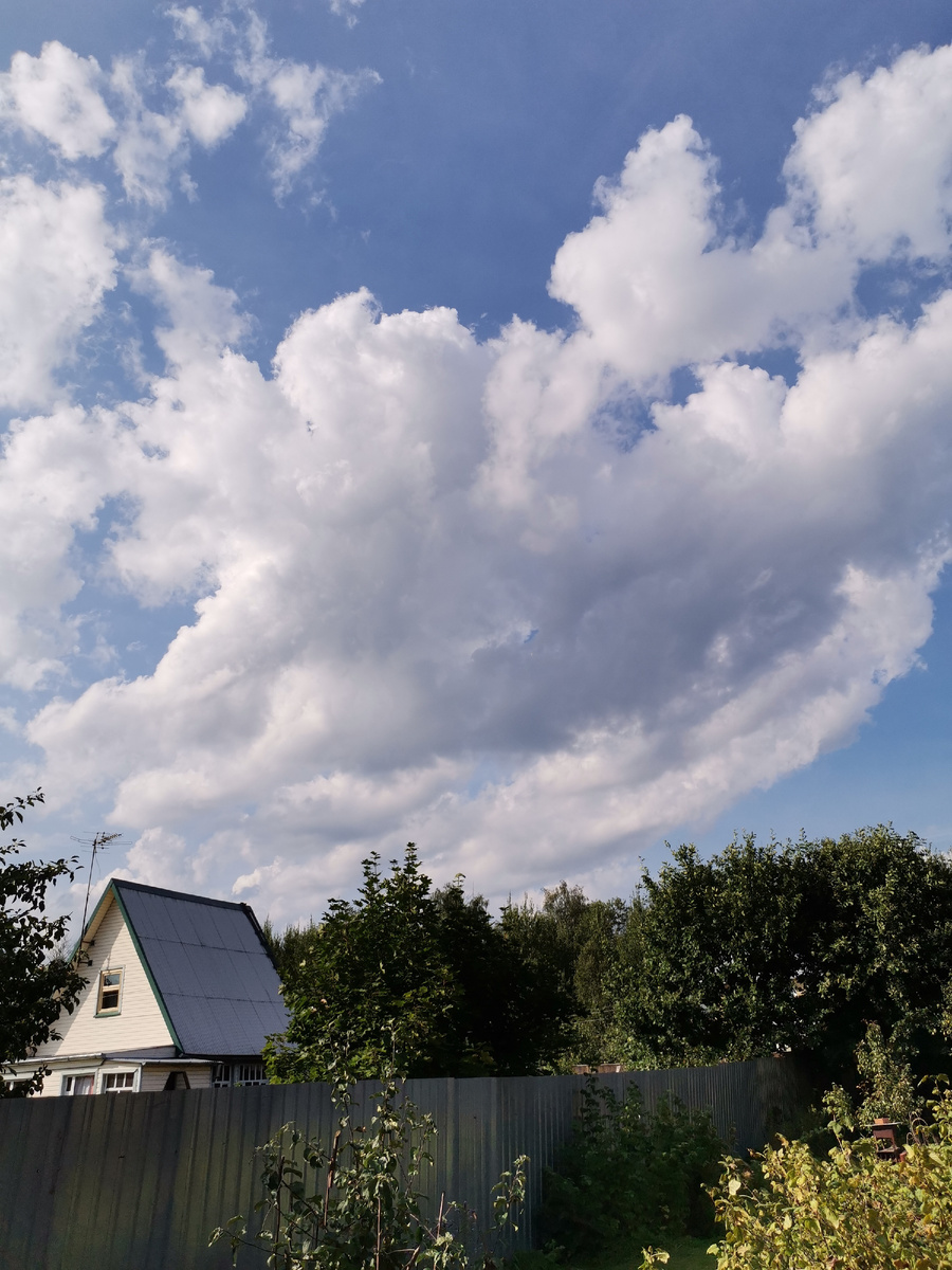 Облака плывут по небу непрерывно! Они живые?