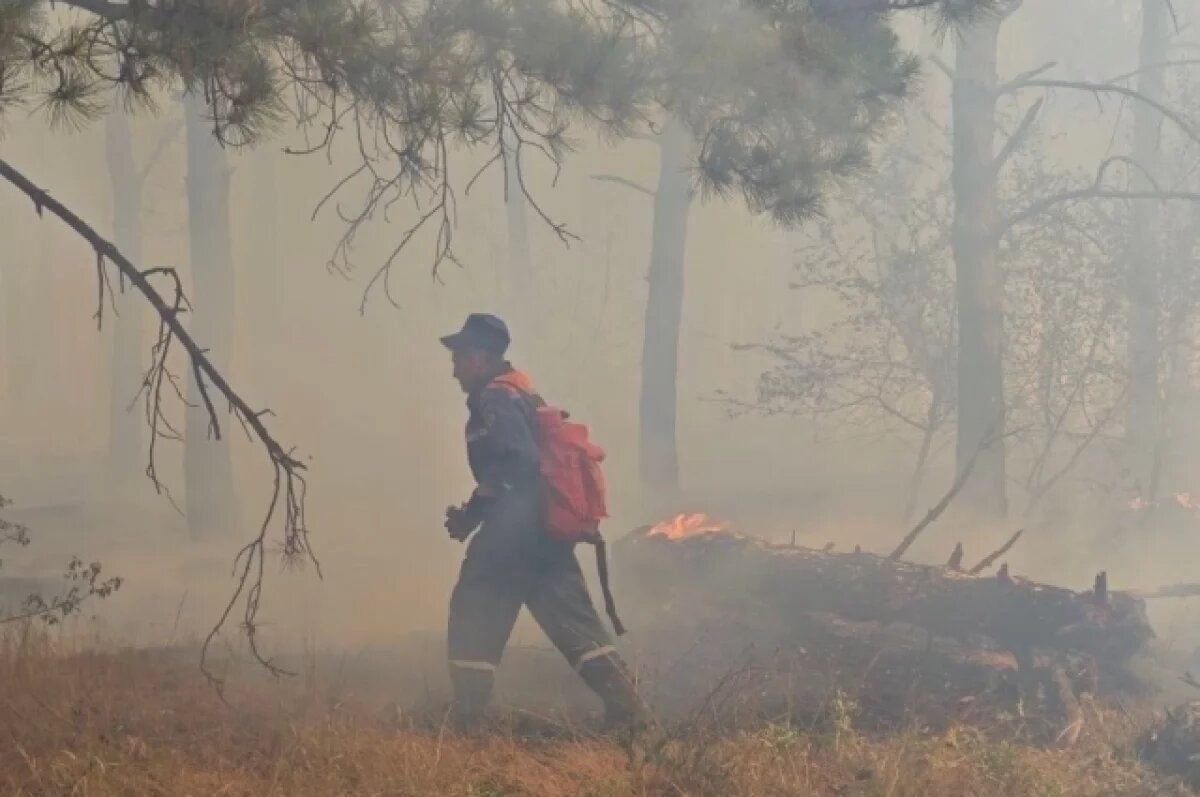    В Крыму продолжают тушить пожар в Симферопольском районе