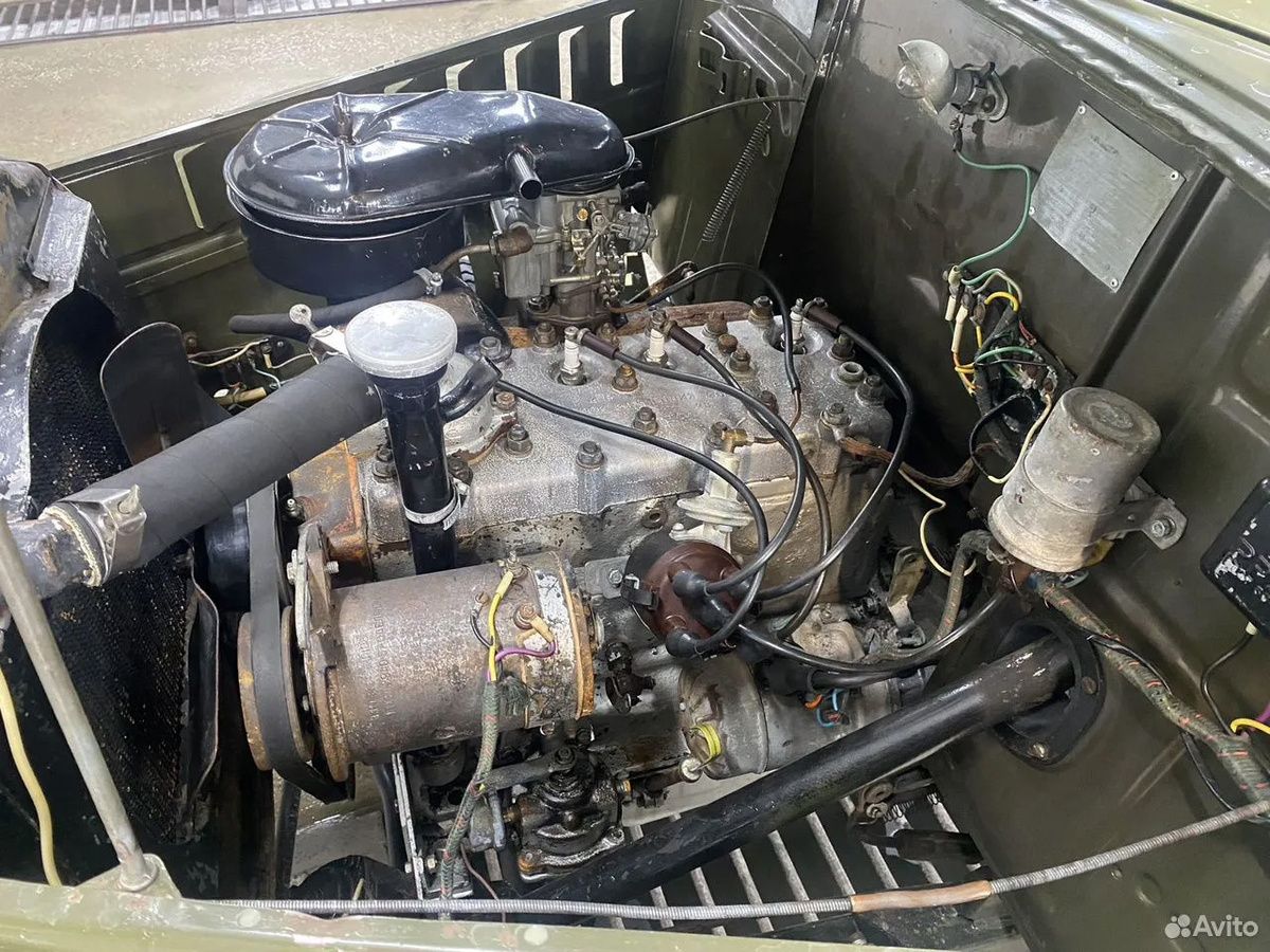 Фото: Avito  📷
