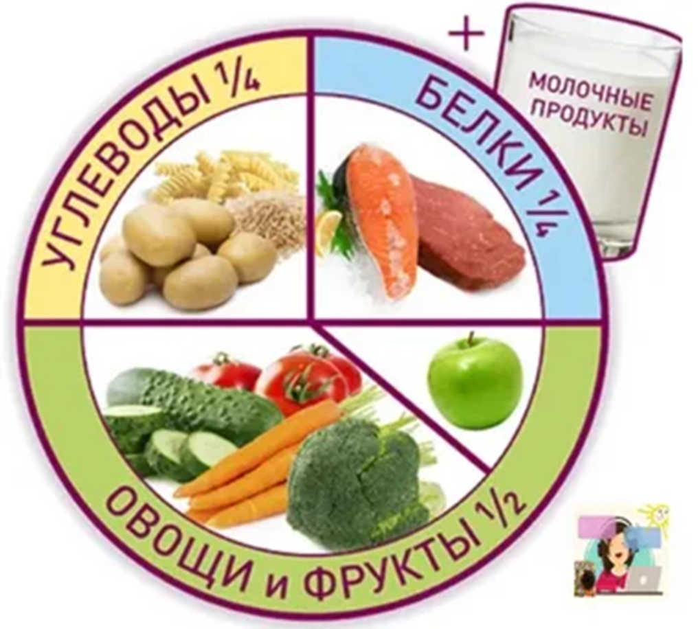 Тарелка здорового питания - распределение компонентов
