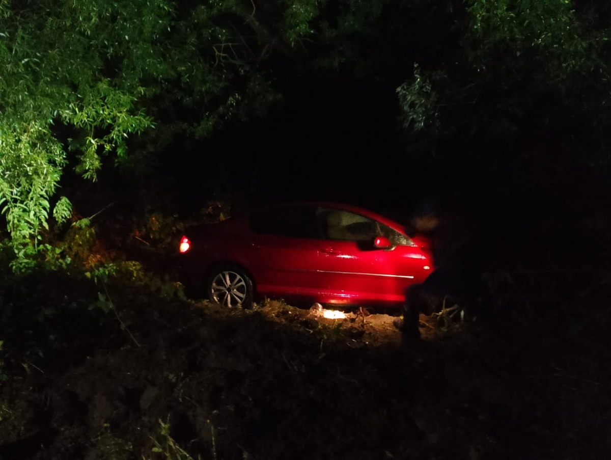 Фото: Противопожарная служба Курской области