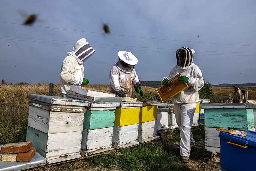    © GEORGI LICOVSKI/ТАСС