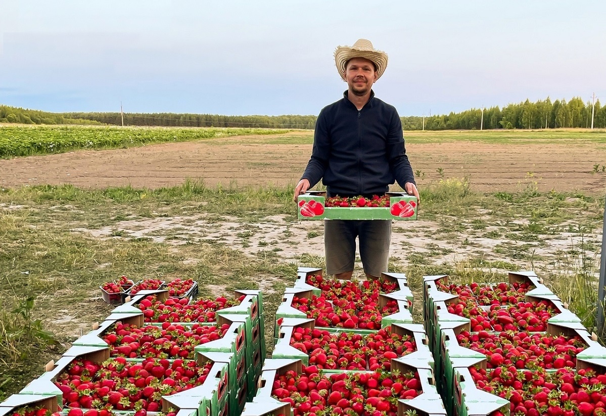    Собирать ягоду к Михаилу Полеткину приезжают со всего региона