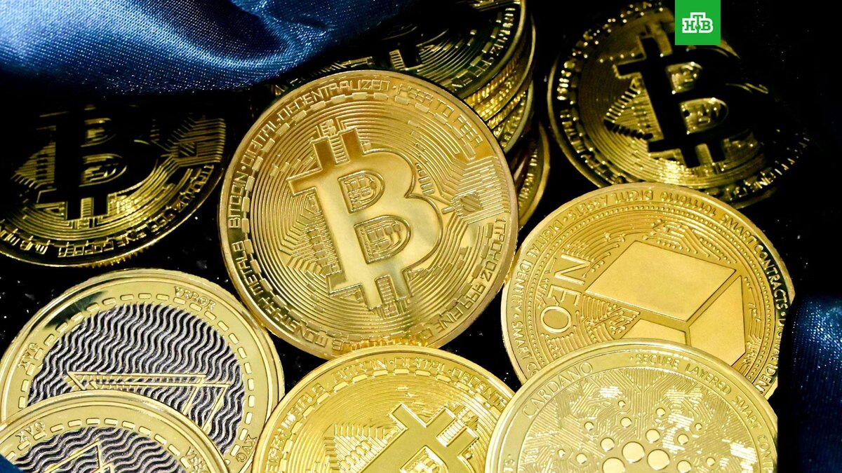    Фото: Traxer / unsplash.com