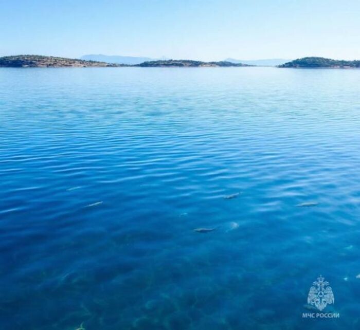 Источник фото: ГУ МЧС по РО