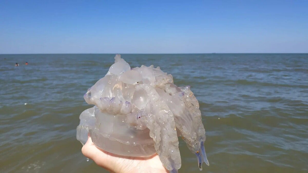 Автор фото Анна Тарасова на Яндекс Картах