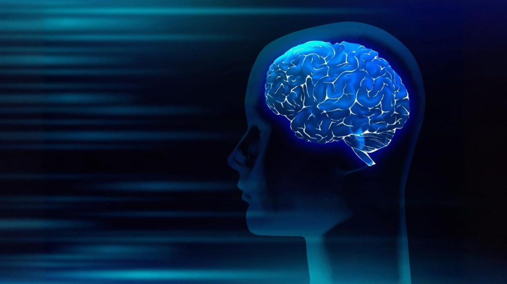    Дети и гугл-мозг: Почему информация уходит в никуда