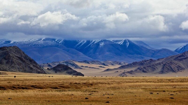     Степи. Горы. Источник фото: ru.freepik.com, автор, wirestock