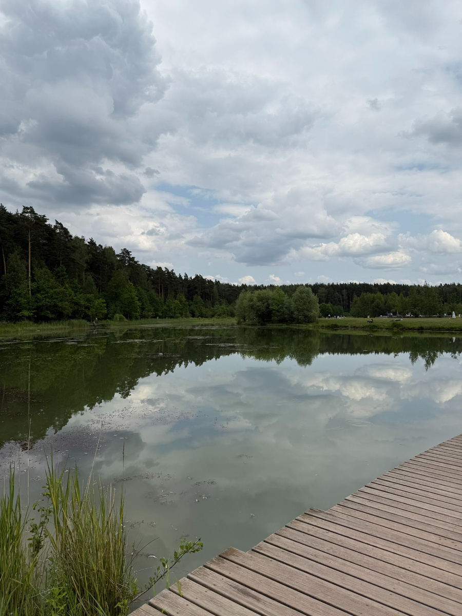 Фото автора канала. Мещерский парк.