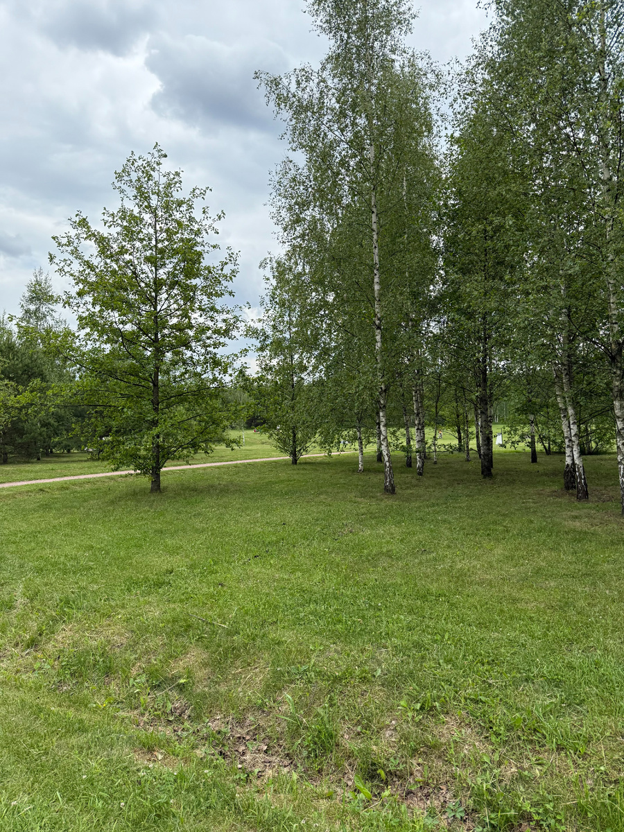 Фото автора канала. Мещерский парк.