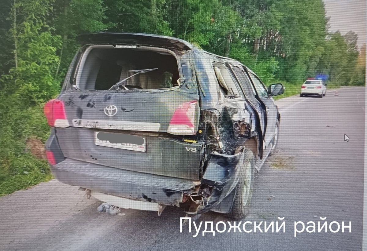    Фото: Госавтоинспекция Карелии / ВК