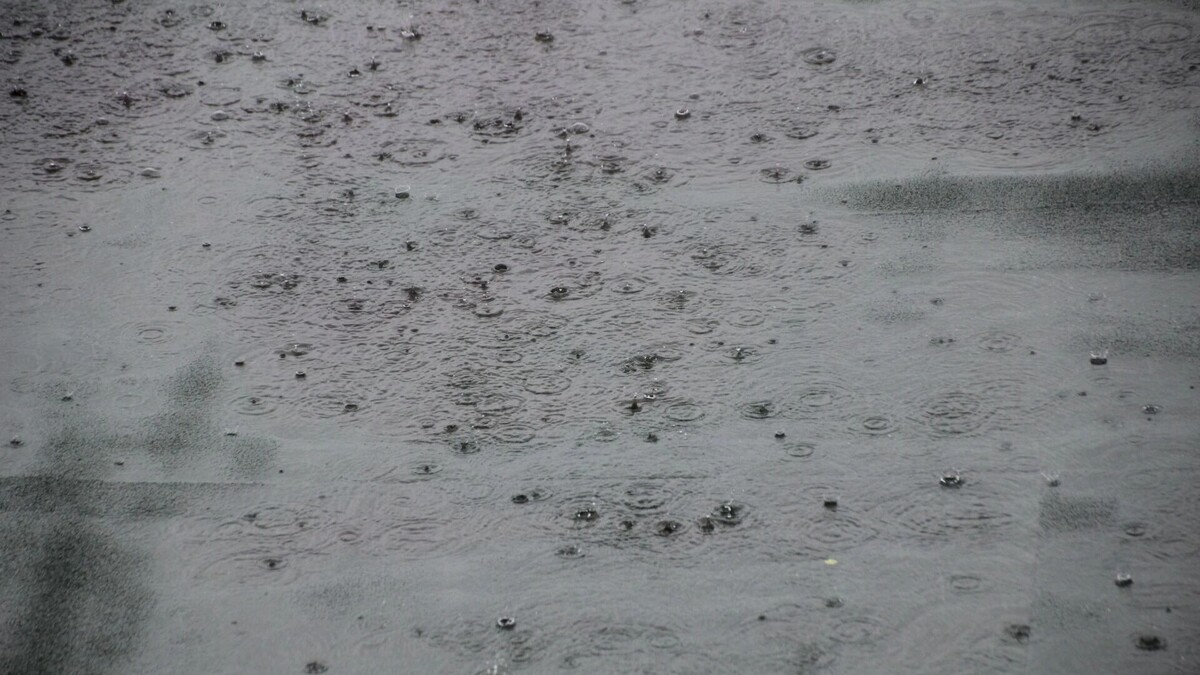     Источник: 1MI