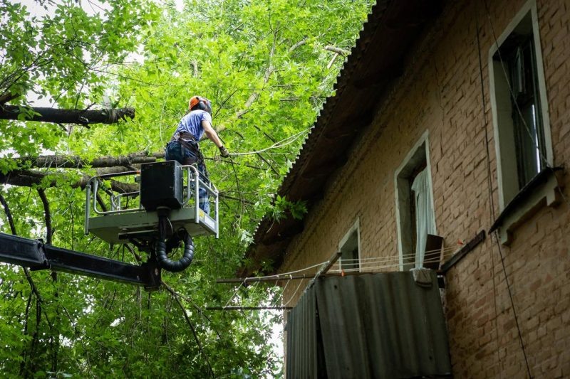 Фото: тг-канал Сергея Котлярова