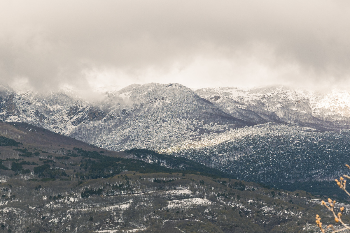 Фото автора канала