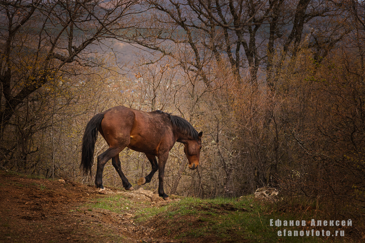 Фото автора канала. 
