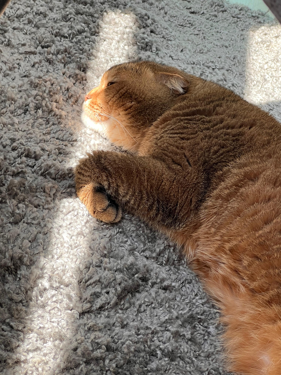 Из личного архива