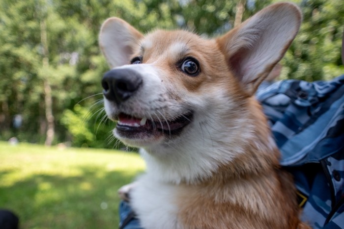    Фото: Юлия Федотова