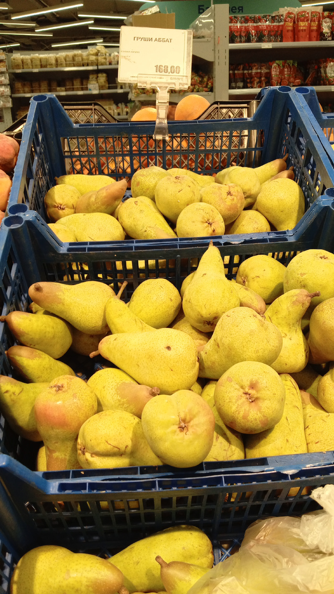 Фото автора .