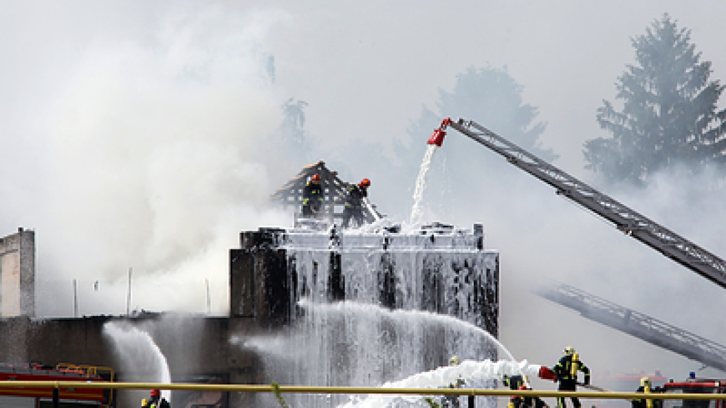    Volodymyr Tarasov/Globallookpress