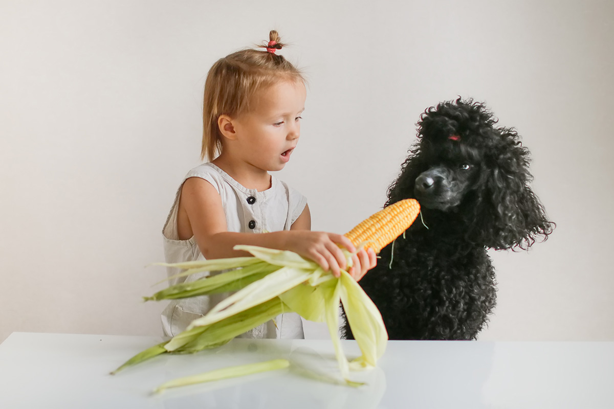 Увеличить изображениеКукуруза в умеренных количествах не повредит. Источник: Shutterstock
