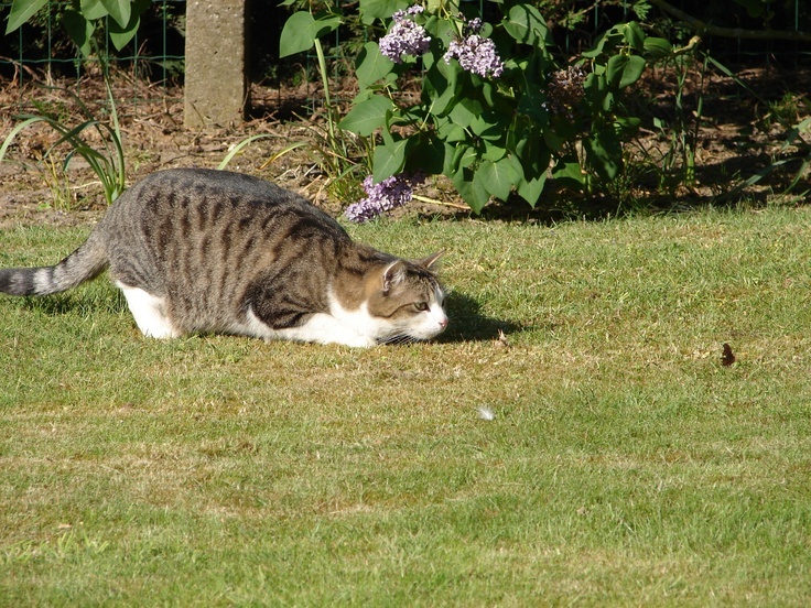 Фото из Интернета.