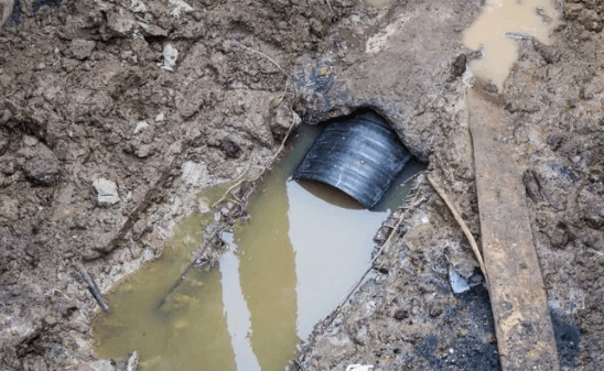    Фото: Александр Елизаров / URA.RU