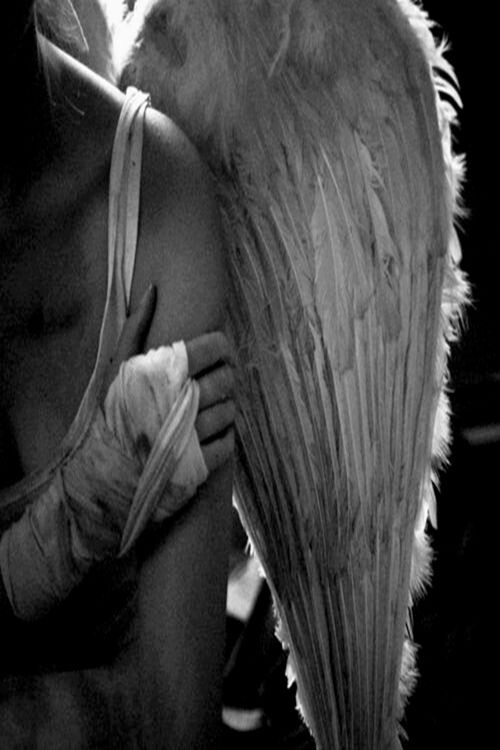 фото из интернета